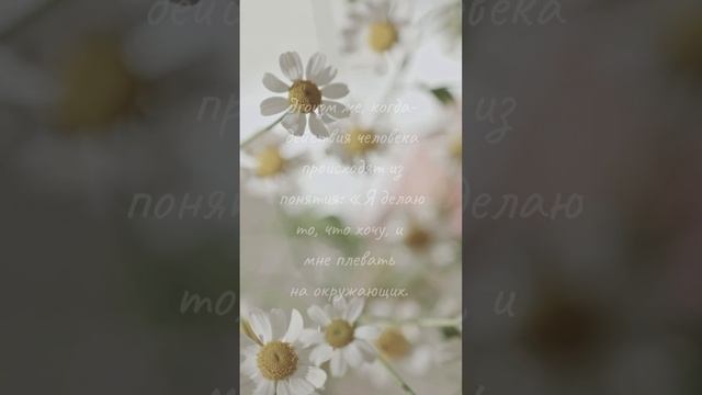 Любовь к себе или эгоизм? #shorts смотреть онлайн