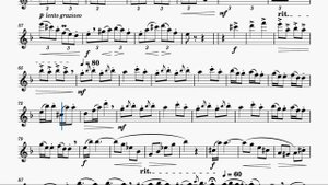 Wilhelm Popp - Russisches Zigeunerlied Op. 462 (orchestra)