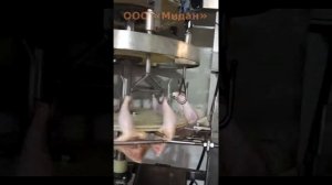 Линия автоматической разделки тушек птицы на части  Курлин