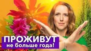 ЭТИ ЦВЕТЫ - ДЕНЬГИ НА ВЕТЕР! 5 невероятно красивых, но очень капризных комнатных цветов
