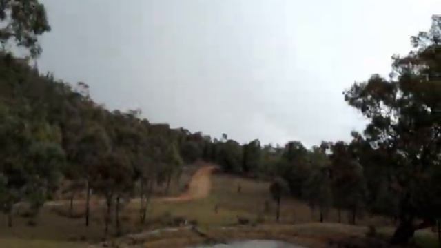 Lace monitor climbing tree, plus lightning storm смотреть онлайн