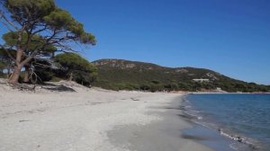 Porto-Vecchio - Plage de Palombaggia