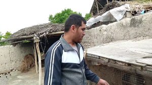 жожа бокиш бизнесси 45 кунда ката даромат олиш