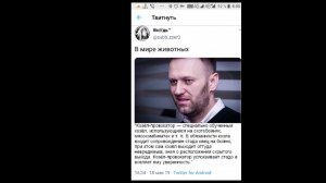 Реми Майснер - Cвердловские репетиции и радости майдана 20.05.2019