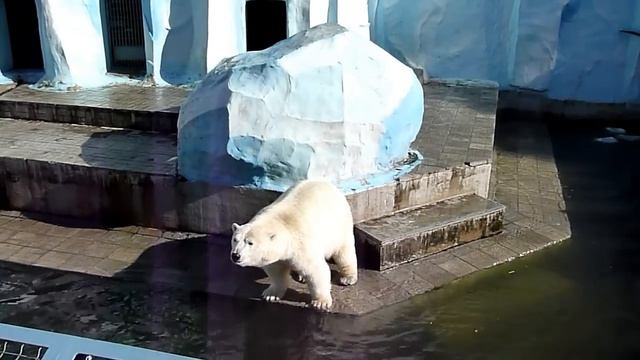 Кай и Герда выпрашивают мороженное! Часть 1 смотреть онлайн