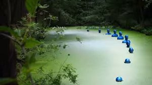 О людях с голубой кровью. Ченнелинг