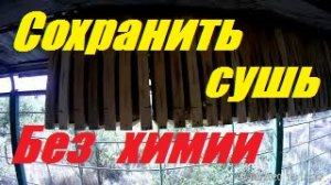 Сохранить сушь пчелиную от моли и мышей без химии в течении года.Осушка пчелиных сот за 2 часа.