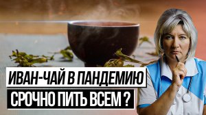 Иван чай в пандемию и не только. Лечебные свойства, польза и противопоказания