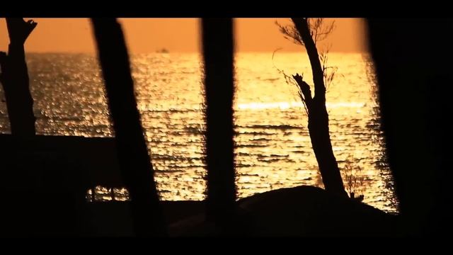 TETOUZE Planet Goa (sitar electro) смотреть онлайн