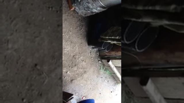 Перевал Абхазия Агоп пастух делает сыр смотреть онлайн