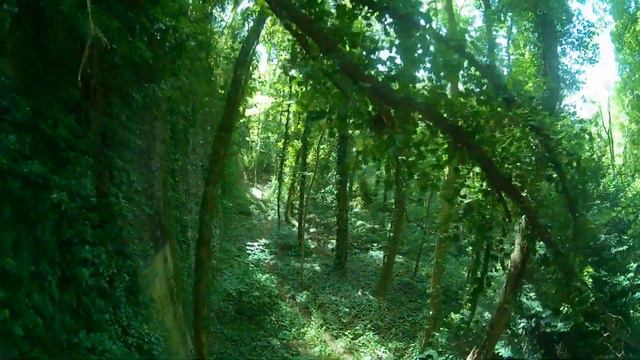 FPV - Parc de la Chartreuse - 9 - Walls смотреть онлайн