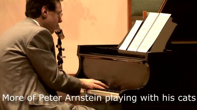 Peter Arnstein Concert promo April 19, 2015 at Mount Calvary Lutheran Church, Excelsior, MN смотреть онлайн