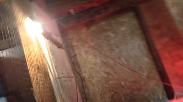 Подаем углекислый газ растениям в многофункциональном комплексе!!!