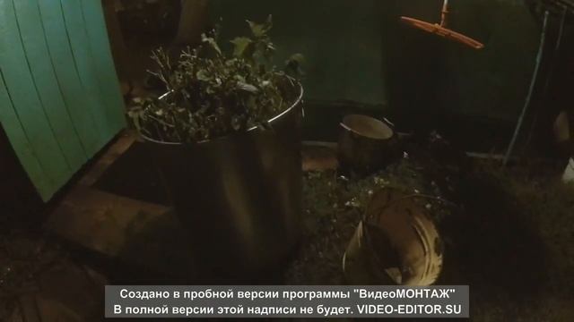 ГЕННАДИЧ#6#Смородина#Замачивание Черенков Перед Посадкой#Корнеобразование смотреть онлайн