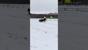 Русская тройка. Соревнования в Костроме, январь 2023.