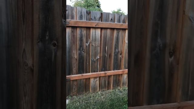 Забор окрашен финским составом. 3 года спустя. смотреть онлайн