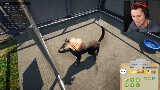 Animal Shelter Simulator - Part 1 - The Beginning смотреть онлайн