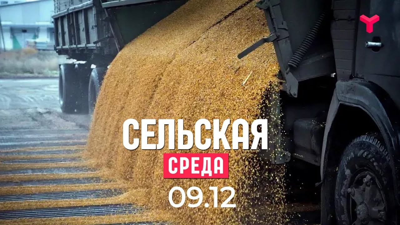 Качество сельской среды