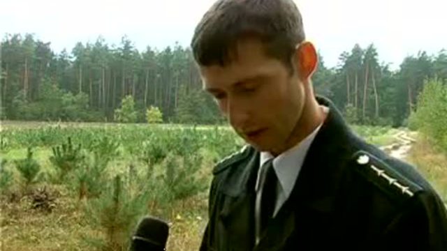 Лесничество