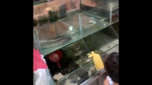 Первый рынок в Санья. Рынок морепродуктов