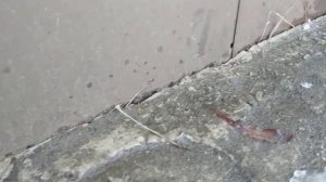 Заклинило ворота гаража. На заметку тем, кто собирается строить...