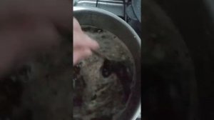 Рассол для замачивания мяса,для дальнейшего копчения.