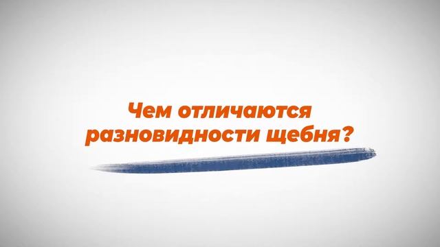Щебень: виды, отличия, характеристики