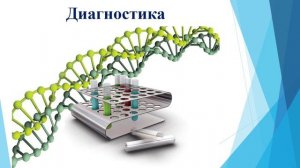 Вирус папилломы человека