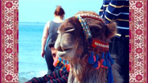 "АНАТОЛИЙ В АНАТОЛИИ" - Анатолий Пережогин поёт свою шуточную песню