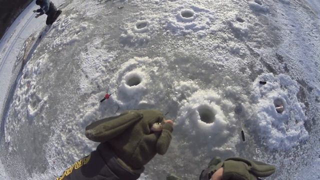 Открытие сезона 2023-2024.Окунь. смотреть онлайн