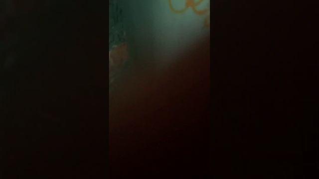 С другом в магазин ходил смотреть онлайн