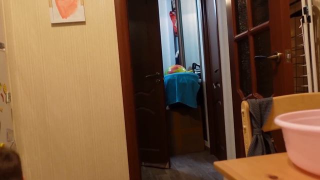 ВЛОГ: У нас появился кот! 29.12.22 смотреть онлайн