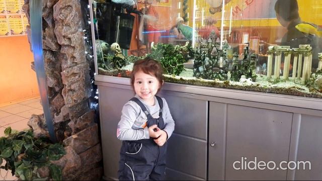 Альбом фото Продолжение №4 смотреть онлайн