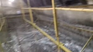 Переделка теплицы в грибницу продолжение