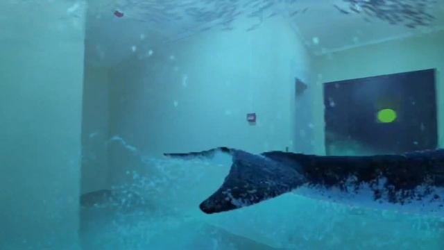 Продажа квартиры в Новой Москве смотреть онлайн