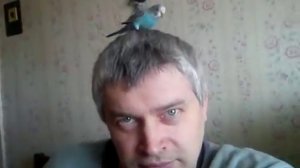 Попугай на голове у Геннадия Горина - Геннадий Горин