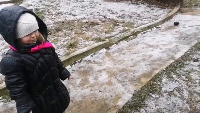 Ротвейлер Пончик и ребёнок смотреть онлайн