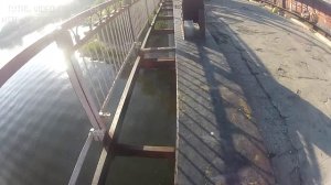 Прыжок с моста. Река