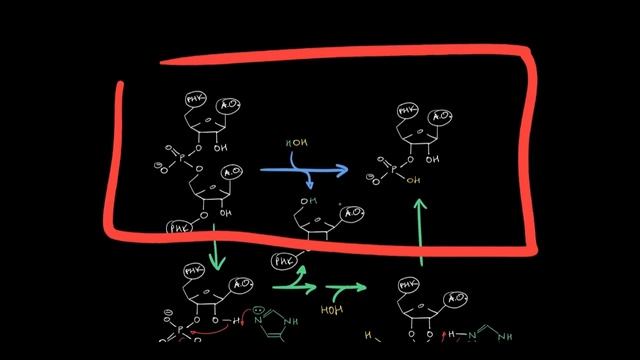 ЕГЭ. Все про ферменты: механизм работы ферментов