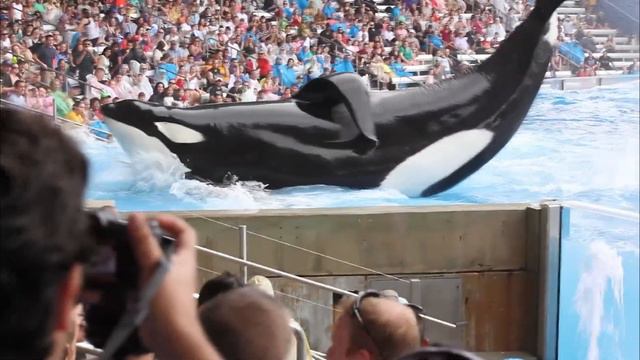 Disturbing Lost Media That May or May Not Exist смотреть онлайн