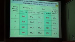 Тритикале: как выбрать сорт и достичь высокого урожая