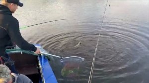 Карелия 2021г.  Водлозеро- рыбалка.