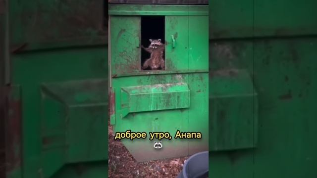 анапа