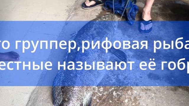 Чудо-Юдо-Рыба-Кит! #подводнаяохота #рыбалка #андаманскоеморе