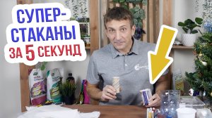 Как быстро и дешево сделать горшки для рассады? Из чего сделать стаканчики для рассады