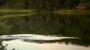 Ловля нахлыстом на мушку