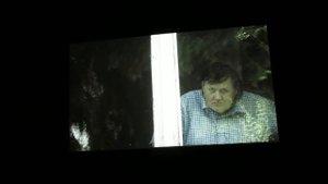 Инсталляция "Городок. Модест"