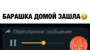 Барашка домой зашла???