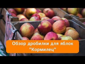 Дробилка (измельчитель) для яблок - обзор модели "Кормилец"