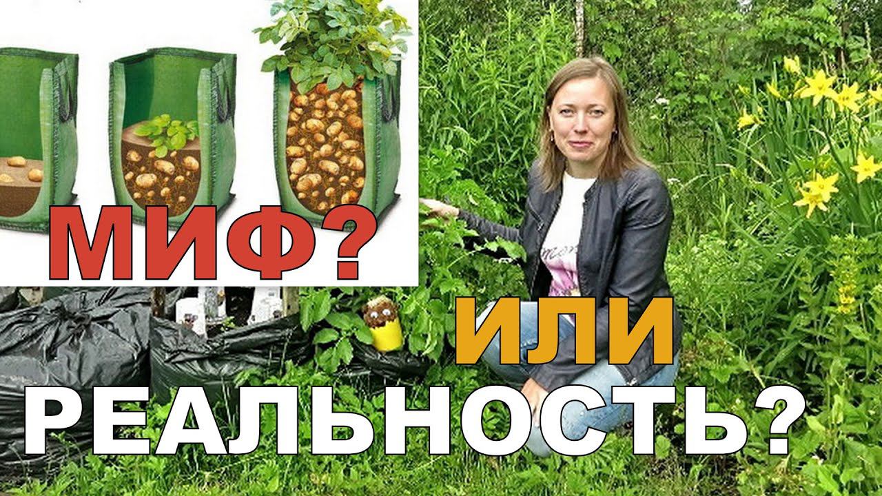 ОКУЧИВАНИЕ картошки В МЕШКАХ // Выращивание картофеля в мешках 3 / Potatoes in bags 3